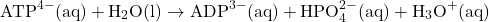 \[\mathrm{ATP^{4-}(aq) + H_2O(l) \rightarrow ADP^{3-}(aq) + HPO_4^{2-}(aq) + H_3O^+(aq)}\]