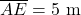 \overline{AE} = \mathrm{5~m}